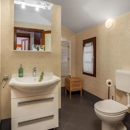 Beautiful In With Kitchen Apartment Bribir (Primorje-Gorski Kotar)